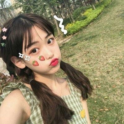 盗贼泰瑞莎